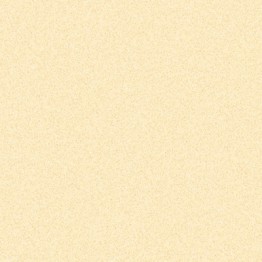 Gạch lát 25x25 Prime Build 06.250250.02252